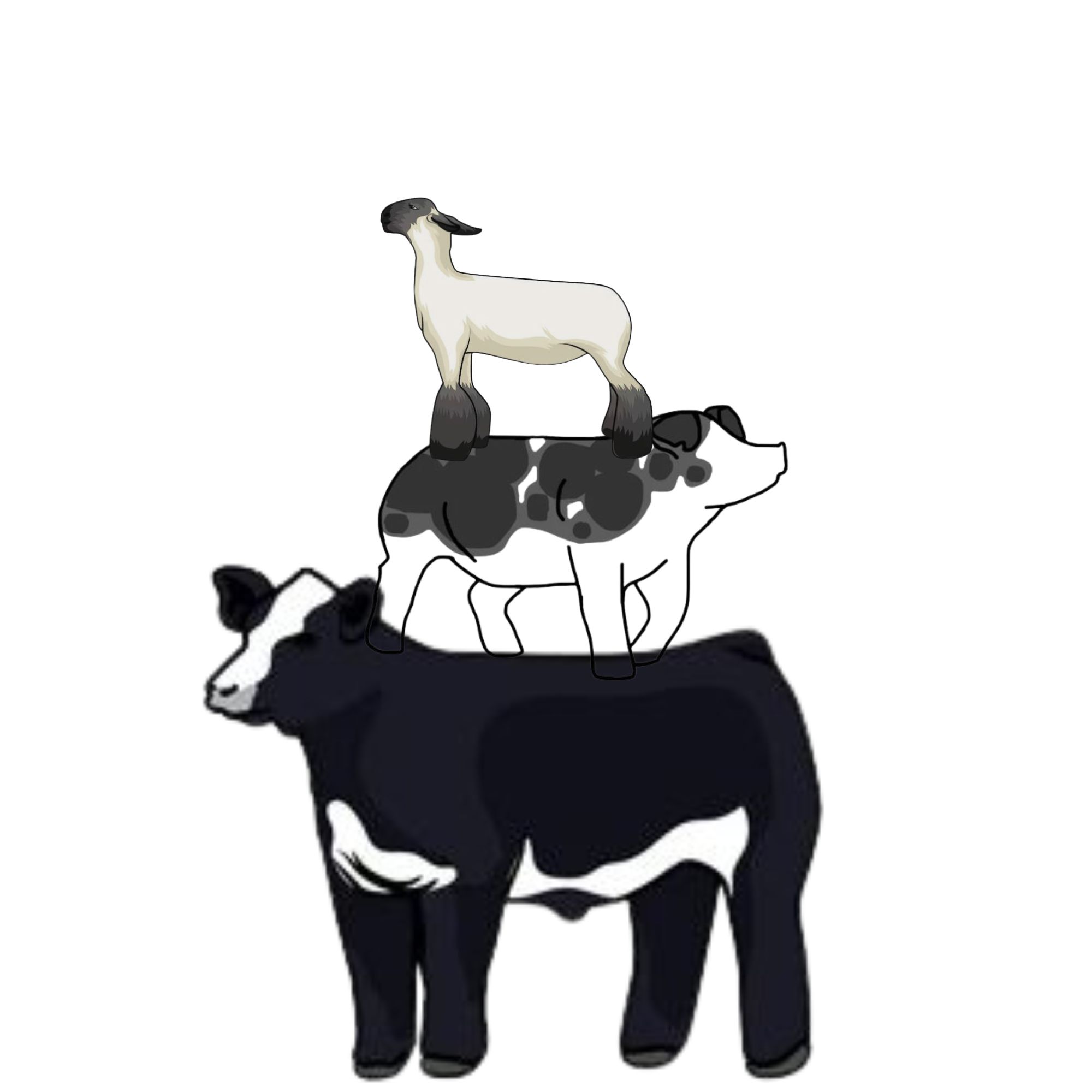 Didn't find the category you're looking for?             
                